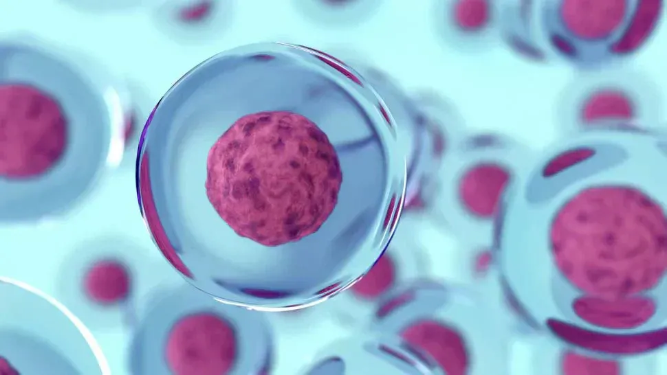 Al momento stai visualizzando CBD e cancro: perché non esistono ancora studi clinici sull’uomo