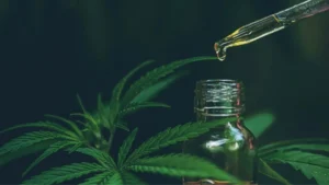 Scopri di più sull'articolo Che cos’è il cannabidiolo (CBD)? Guida completa