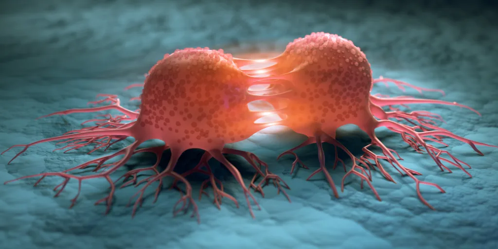 Al momento stai visualizzando Estratto di cannabis e cellule tumorali: che cosa mostrano gli studi